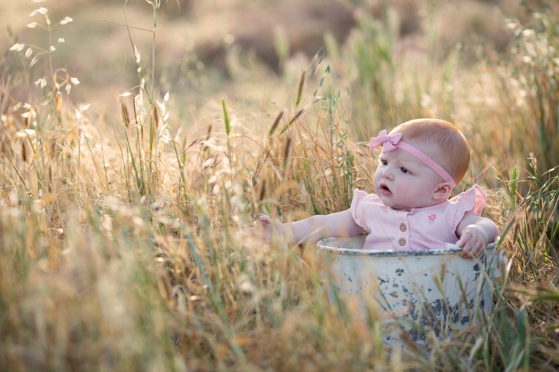 Baby girl in pink during an outdoor milestone session in a sunlit field