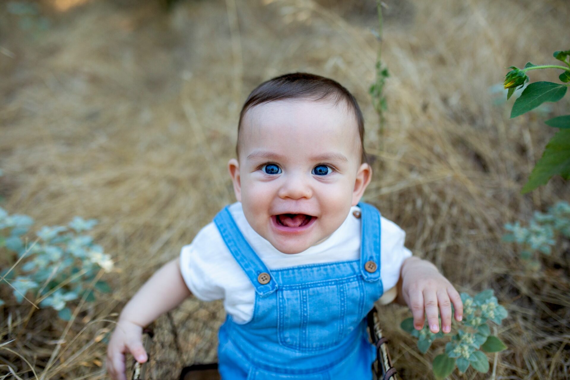 Smiling baby in blue overalls during an outdoor milestone portrait session