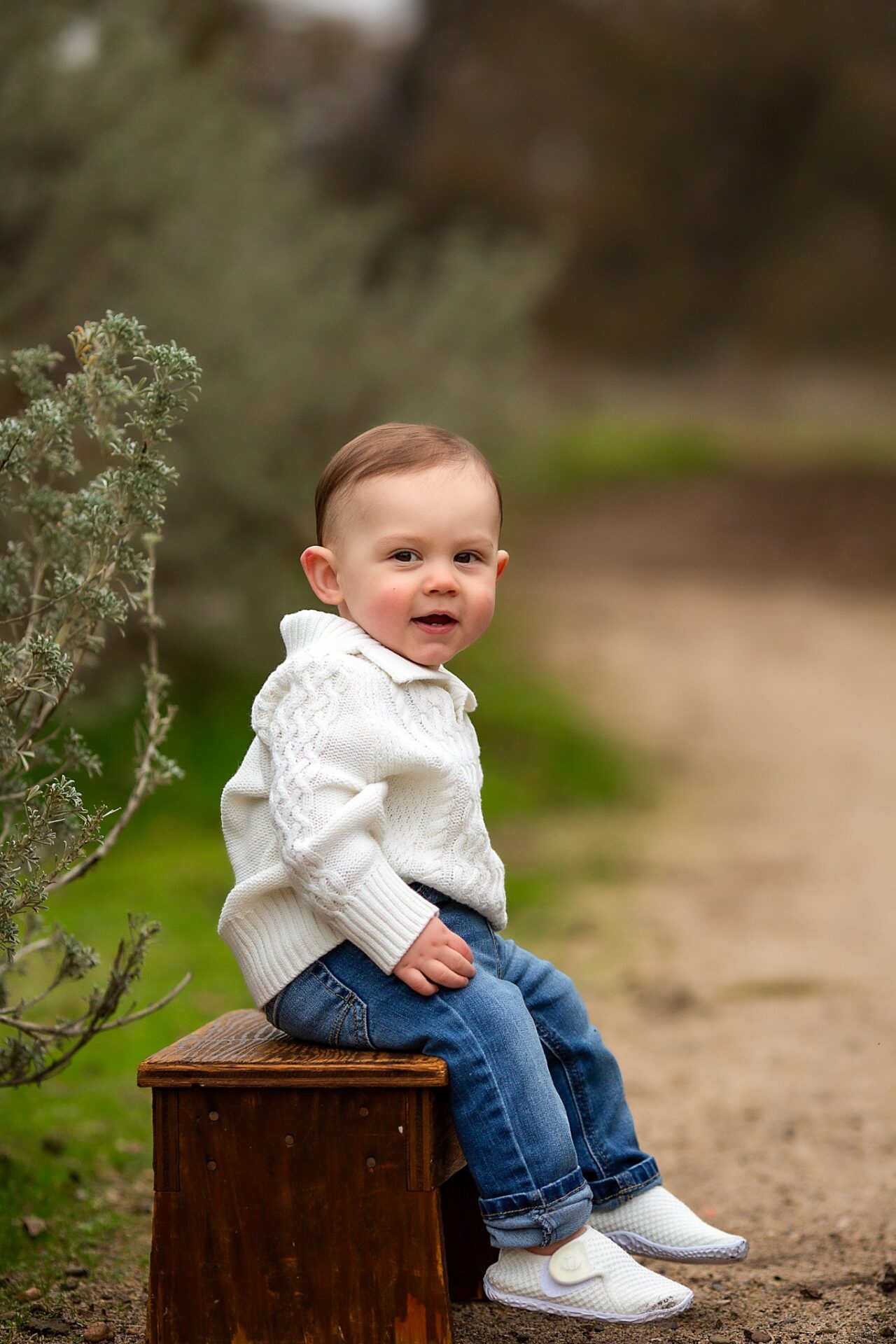 Baby boy sitting on a wooden box during an outdoor milestone session